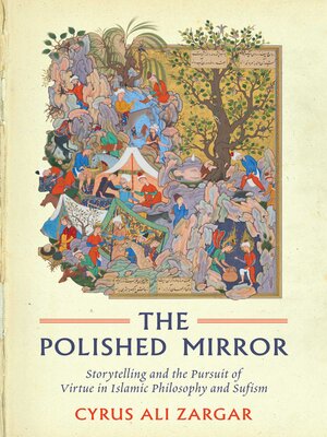 cover image of Polished Mirror